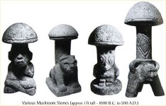 mayan-mushroom-stones.jpg