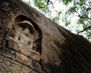 Buddha+beneath+a+sacred+mushroom.jpg