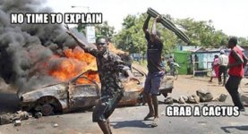 no+time+to+explain+grab+a+cactus.jpg