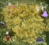 PicsArt_1424217156352.jpg