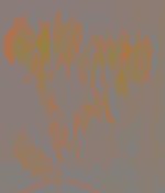 DSCN1003a.jpg