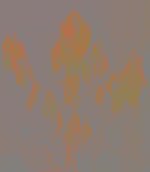 DSCN1004a.jpg