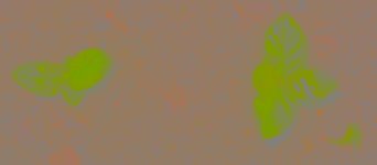 DSCN1007a.jpg