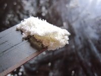 IMG_7905.JPG
