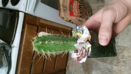 20150507_173422.jpg