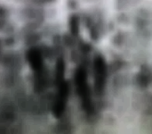 monkey+dude+.png