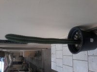 20150302_134034.jpg