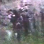 pix+pix.png