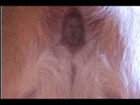 jesus+butt.jpg