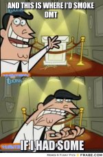 frabz-And-this-is-where-id-smoke-dmt-if-i-had-some-b896cf.jpg