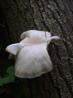 photo2.jpg