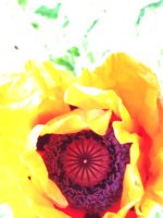 photo4.jpg