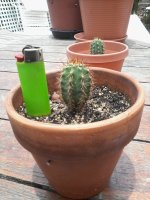 20150531_123521.jpg