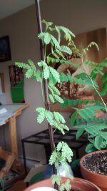 IMG_20150604_162202633.jpg