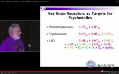 nichols_receptors%23.jpg