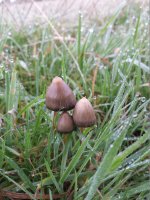 20141025_092326.jpg