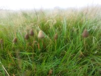 20141025_101105.jpg