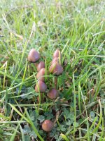20141025_111738.jpg