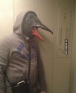 funny-bird-human-costumes.jpg