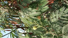 20150817_170811.jpg