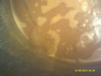 DSCF0106.JPG
