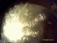 DSCF0109.JPG