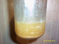 DSCF0118.JPG
