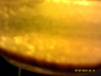 DSCF0119.JPG
