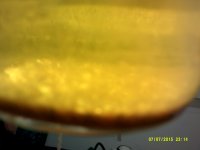 DSCF0120.JPG