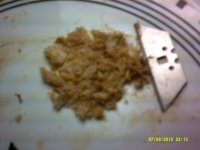 DSCF0124.JPG