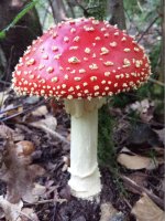 20150926_084556.jpg