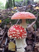20150926_084629.jpg