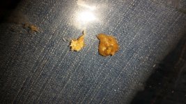 20151007_171317.jpg