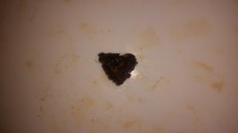20151007_171335.jpg