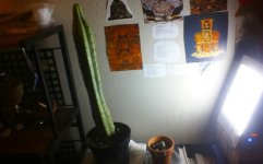 KINDLE_CAMERA_1393575841000.jpg