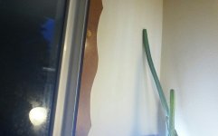 KINDLE_CAMERA_1438459577000.jpg