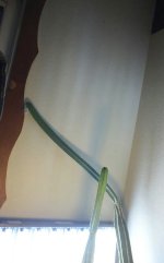 KINDLE_CAMERA_1438491841000.jpg