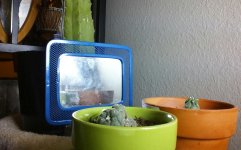 KINDLE_CAMERA_1396349915000.jpg