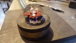 20150825_175901.jpg