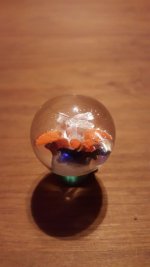 20150825_214849.jpg