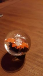 20150825_214904.jpg