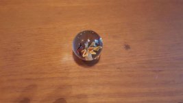 20150827_093432.jpg