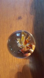 20150827_093447.jpg