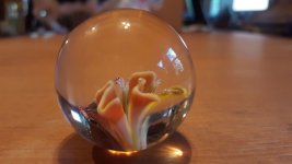 20150827_093509.jpg