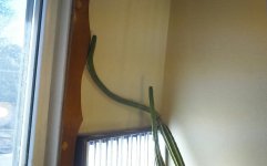 KINDLE_CAMERA_1446547391000.jpg