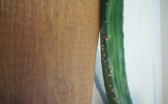 KINDLE_CAMERA_1446547445000.jpg