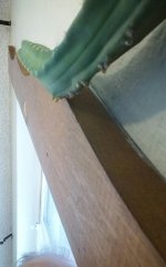 KINDLE_CAMERA_1446547481000.jpg