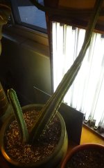 KINDLE_CAMERA_1446794454000.jpg