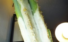 KINDLE_CAMERA_1446794392000.jpg