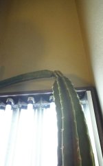 KINDLE_CAMERA_1446794441000.jpg